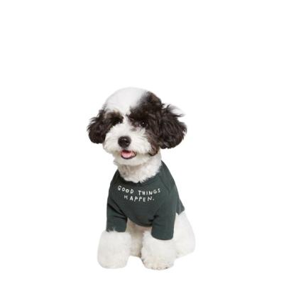 China Stocked Custom Plain OEM INS Letter Print T-shirt Pet Clothes Stretch Soft Cotton Breathable Dog Clothes for sale