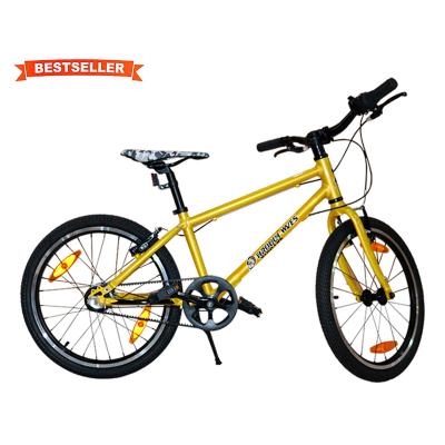 China 20Inch Street City Bike Steel Frame V Brake 3 Speed ​​Color Tire Urban Bicycle for sale