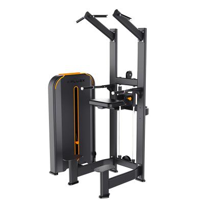 China Commercial Airspring Support Adjustment Seat Gym Bodybuilding And Fitness Exercise Equipment Chin Up / Dip Aid Machine for sale