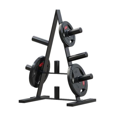 China Modern Dumbbell Rack Home Fitness Equipment Weight Rack for Flat and Dumbbell Weights for sale