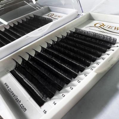 China Quewel Natural Mink Individual Eyelash Extension Lashes Eye Lash Extensions for sale