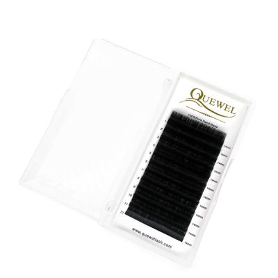 China Classic Eyelash Extension Top Selling 0.07mm Quewel Classic Eyelash Extension Tray And Private Label Classic Eyelash Extension Trays For Salon for sale