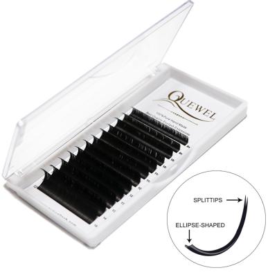 China Soft And Light Tips Quewel Brand Extensiones De Pestanas Elipse Eyelash Vendor Split Plates For Green Hand for sale