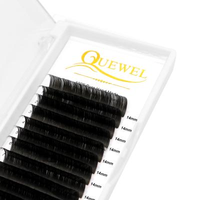 China Natural Look Easy Grafting Quewel Lash Vendor Wholesale Flat Lash With High Quality For Individual Salon Lash And Makeup for sale