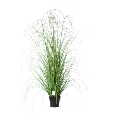 China Nature Look Plastic Artificial Wheat Grass For Home Decoration Fake Grass Garden White Onion for sale