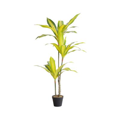 China China Modern Wholesale Artificial Green Plants, Artificial Dracaena Fragrans, Wedding Decorations for sale