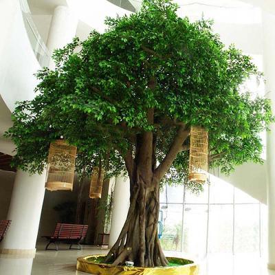 China KD-A00022 Large Outdoor Artificial Banyan Fiberglass Trunk Tree Ficus Trees for sale