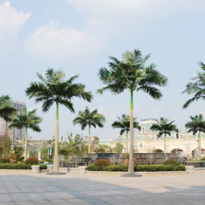 China Artificial Palm Trees Indoor Outdoor Decoration Large Artificial Decorative Tree With Leaves Outdoor Fake Palm Tree for sale