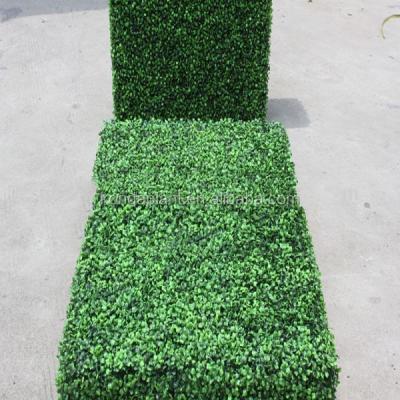 China Artificial Boxwood Hedge Decoration Plastic Material Milan Outdoor Indoor Grass Mat, Boxwood Roll for sale