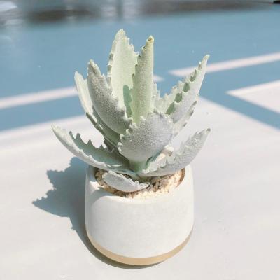 China Classic decoration homedecor plants 3 in 1 set mini lifelike artificial succulent with pot for wholesale for sale