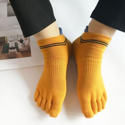 China Professional Non-slip Dig Back Half Toe Five Finger Yoga Socks Ladies Cotton Breathable Socks For Ballet Pilates Dance for sale