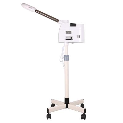 China DT-328 Daily Nano Ionic Mist Steamer DEEP CLEANING Beauty Salon Position Face Care Cool White Facial Steamer With High Frequency for sale