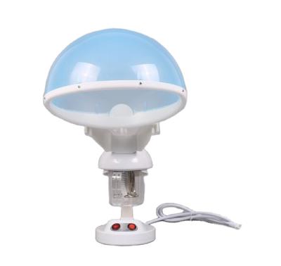 China Wholesale Office 2021 Office DT-66 2 in1 Nano Ozone Skin Moisture Moisture Hair And Face Facial Steamer for sale