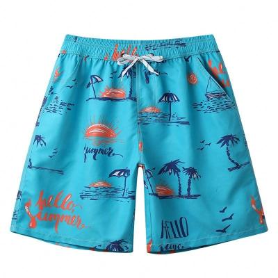 China Factory Direct QUICK DRY Sports Beach Shorts Boys Boardshorts for sale