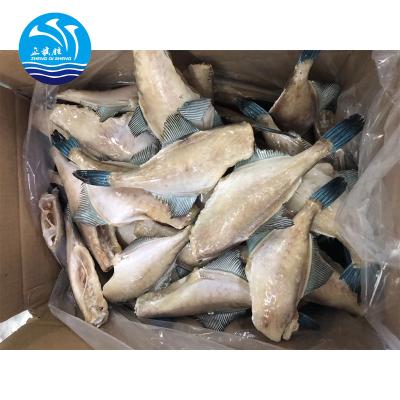 China Leather Jacket FROZEN Fish HGT Frozen Fish for sale