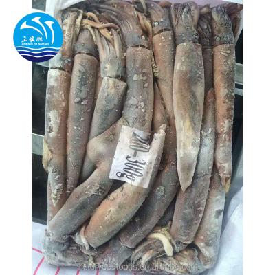 China Gluten-free frozen squid whole round from Argentina Illex for sale