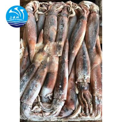 China Argentina Illex Gluten Free Frozen Squid Whole Round Squid for sale