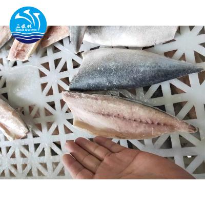 China Indian Mackerel Frozen Headless FROZEN Fish for sale