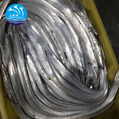 China FROZEN Whole Round Ribbon Fish Exporter At Wholesale Prices for sale