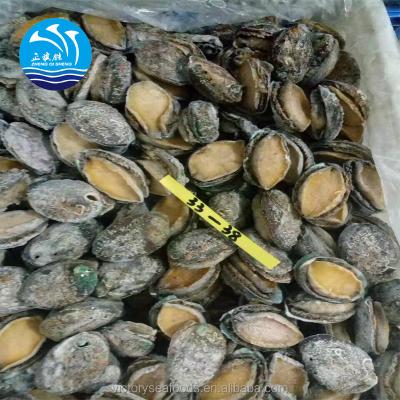 China Frozen Seafood FROZEN Abalone for sale