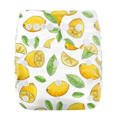 China Printed Christmas Baby Eco-friendly Washable Reusable Cute Diaper for sale