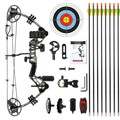 China Hot Selling China Archery Metal Alloy Appearance Youth Archery Compound Customizable Bow Outdoor Hunting Shooting Set for sale