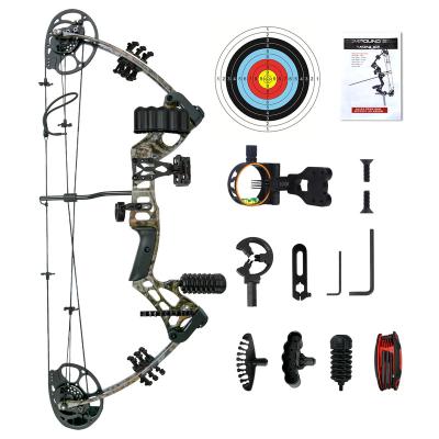 China Hot Selling China Archery Metal Alloy Appearance Youth Archery Compound Customizable Bow Outdoor Hunting Shooting Set for sale