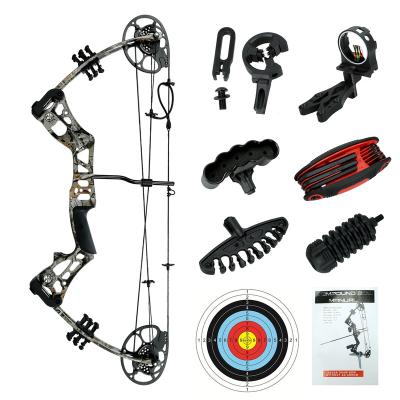 China High Quality Customizable Compound Professional Archery Youth Appearance China Archery Shooting Outdoor Hunting Shooting Set for sale