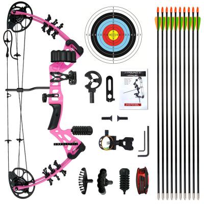 China Compound High Quality Customizable Professional Adult Bow Archery China Appearance China Archery Outdoor Hunting Shooting Set for sale