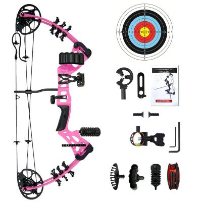 China Compound High Quality Customizable Professional Adult Bow Archery China Appearance China Archery Outdoor Hunting Shooting Set for sale