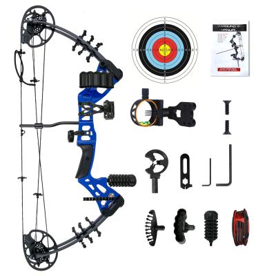 China Customizable Compound Straight Bow Youth Archery ODM China Appearance Archery Shooting Outdoor Hunting Set for sale