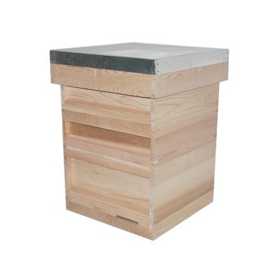 China Farms Factory OEM Red Pine Cedar Hive Wood 8/10 British View Beehive UK National Hive for sale