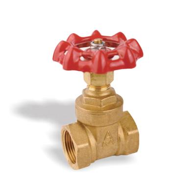 China Best Quality China Supplier DN15 DN20 DN50 DN100 General Brass Gate Valve for sale