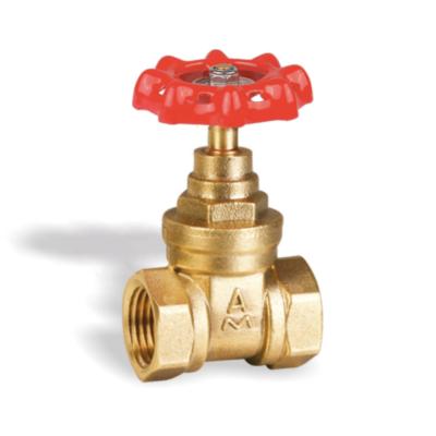 China General Hot Sale China Supplier DN15 DN20 DN50 Forged Female Thread Brass Gate Valve for sale