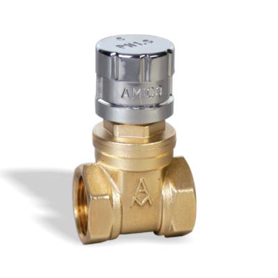 China General Lockable Magnetic Lock Gate Valves Brass Female Thread For Water Meter Front for sale