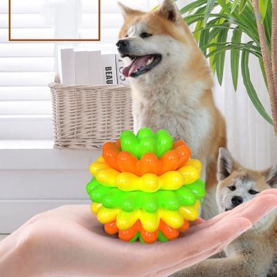 China Chew Dog Toy Pet Toys TPR Succulent   Dog Biting Tooth Grinding Tooth Cleansing  Pet multifunctional toy fun ball for sale