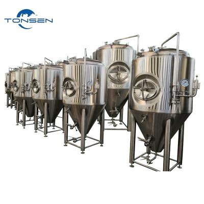 China Hotels Brewery Fermentation Equipment Processing Mini New Condition Beer Brewing Equipment for sale