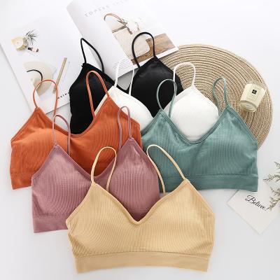 China New Design Lift Up Bra Wire Chest Bra Thin Mature Free Wrap Bra Breathable Striped Bralette for sale