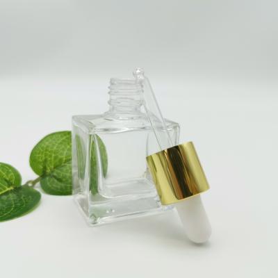 China Custom Empty Morden Essential Oil And Perfume Bottle With Dropper Screw Cap for sale