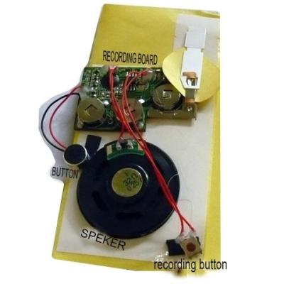 China 60s voice sound module recording hot sale recordable postcard from europe chinese supplier for sale