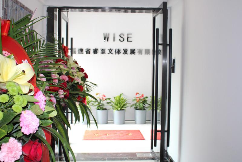 Verified China supplier - Quanzhou Wise Trading Co., Ltd.