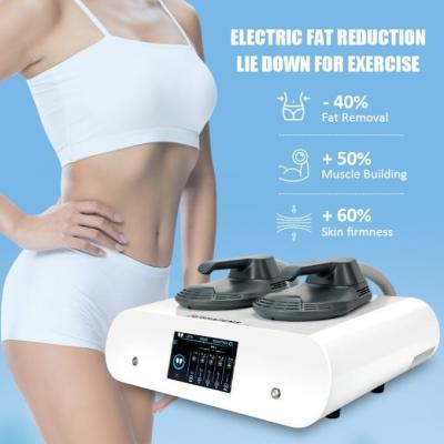 China Butt Arm Muscle Sculpting Machine 2 Handles Tesla EMS RF Radio Frequency Machine for sale