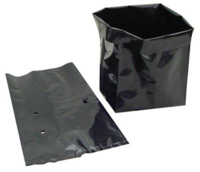 China Disposable Wholesale Custom Black Seedling Plastic Bags With Holes for sale