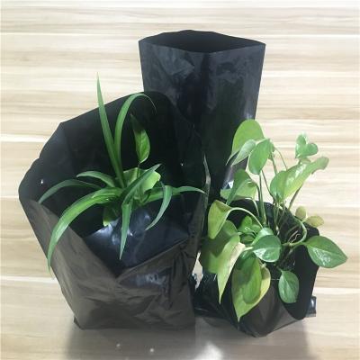 China Agriculture PE black grow bags high quality plastic plant pot sowing nursery bags for sale for sale