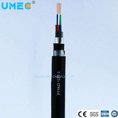 China PE Sheath 16X1mm Printing Digital Signal Cable for 500V or 1000V DC Signal Ptya22 Ptya23 for sale