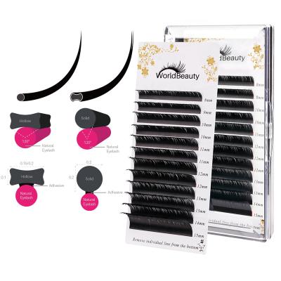 China wholesale extension Matte Ellipse Flat Eyelash 12 row wick extension for sale