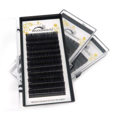 China Worldbeauty Natural Eyelash Extensions Clip In Extensions Wavy Hair Extensions Private Label for sale