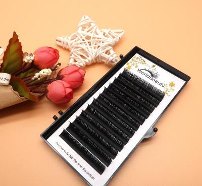 China The Other Individual Flat Lash Eyelash Extensions Wholesale for sale