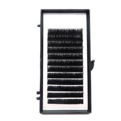 China Self Fan Natural Long Lash Extensions Easy Fan Eyelash Quick Extension for sale