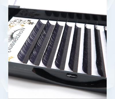 China wholesale worldbeauty Matte Ellipse Flat Eyelash Extension 12 row wick extension for sale